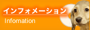 インフォメーション